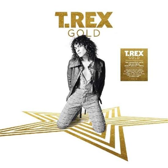 Gold - T. Rex - Music - DEMON RECORDS - 5014797897335 - September 7, 2018