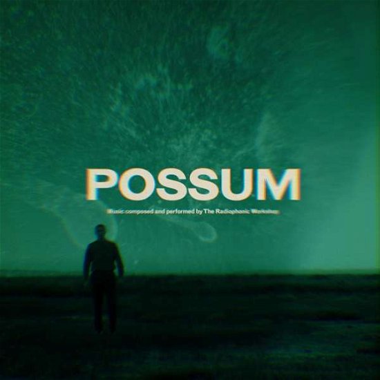 Cover for The Radiophonic Workshop · Possum (CD) (2018)