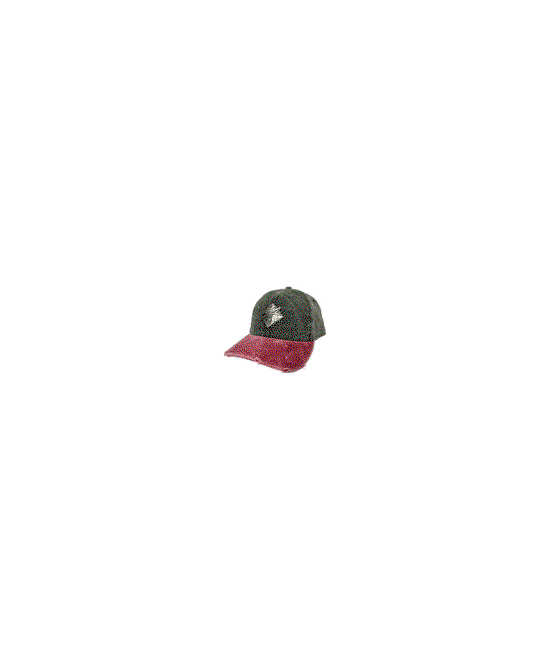 Cover for Good Loot · The Witcher 3 Vintage Baseball Hat (MERCH)