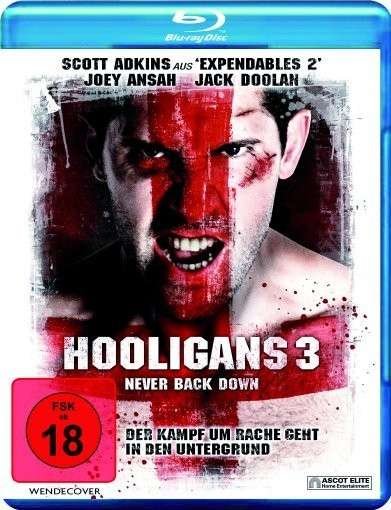 Cover for Hooligans 3-never Back Down (Blu-ray) (2013)