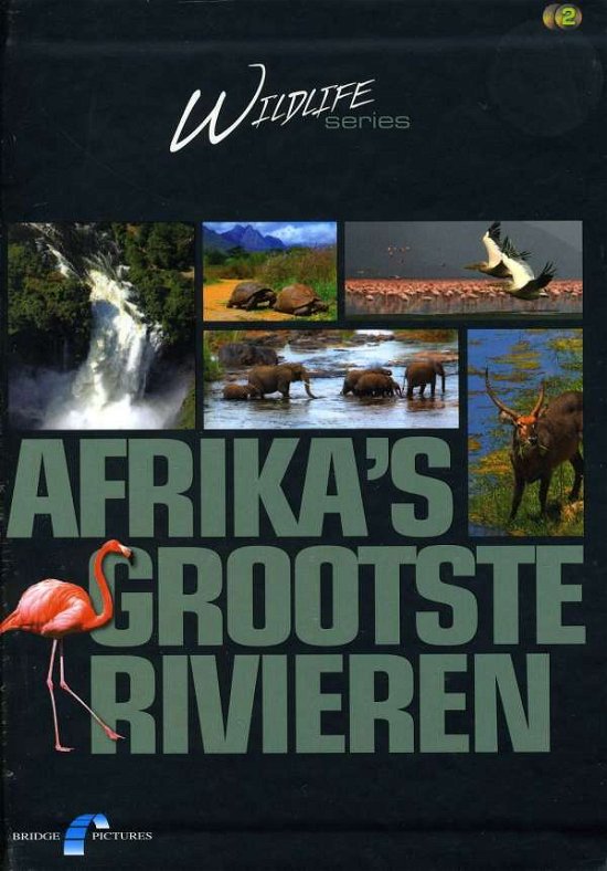 Afrika's Grootste Rivieren - Wildlife - Films -  - 8711983488335 - 