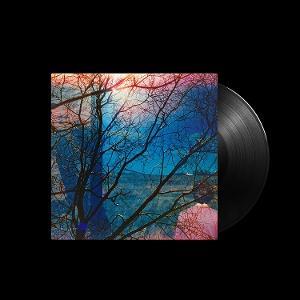 Cover for Idlewild (LP) (2025)