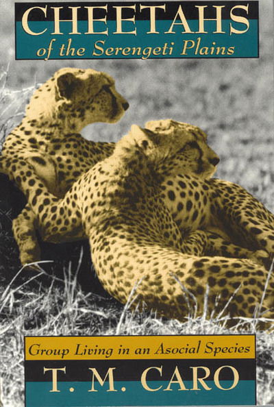 Cover for Tim Caro · Cheetahs of the Serengeti Plains: Group Living in an Asocial Species - Wildlife Behaviour &amp; Ecology Series WBE (Hardcover Book) (1994)