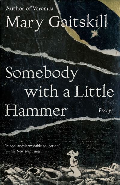 Cover for Mary Gaitskill · Somebody with a Little Hammer: Essays (Paperback Bog) (2018)