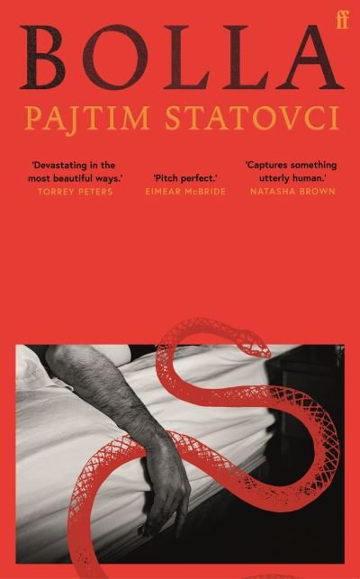 Cover for Pajtim Statovci · Bolla (Inbunden Bok) [Main edition] (2022)