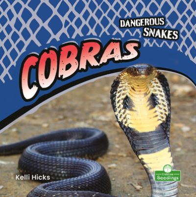 Cobras - Kelli Hicks - Books - Crabtree Seedlings - 9781427162335 - July 1, 2021