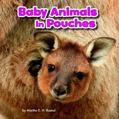 Baby Animals in Pouches - Baby Animals and Their Homes - Martha E. H. Rustad - Books - Capstone Global Library Ltd - 9781474733335 - February 8, 2018