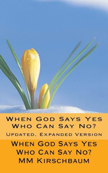 Cover for M M Kirschbaum · When God Says Yes Who Can Say No?: Updated, Expanded Version (Paperback Book) [Lrg edition] (2014)