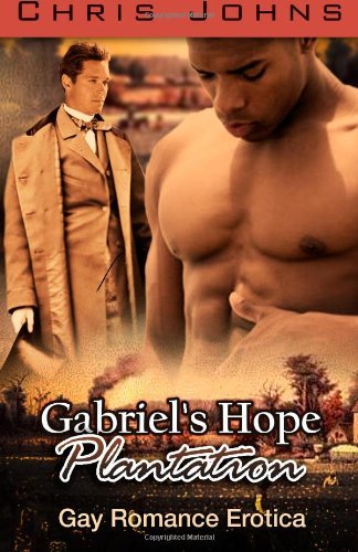 Cover for Chris Johns · Gabriel's Hope Plantation (Pocketbok) (2014)