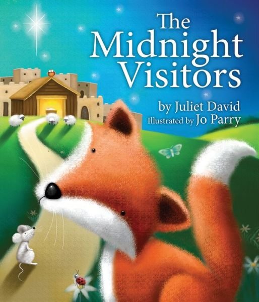 Cover for Juliet David · The Midnight Visitors (Gebundenes Buch) (2015)