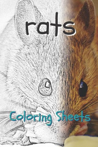 Cover for Julian Smith · Rat Coloring Sheets (Pocketbok) (2019)