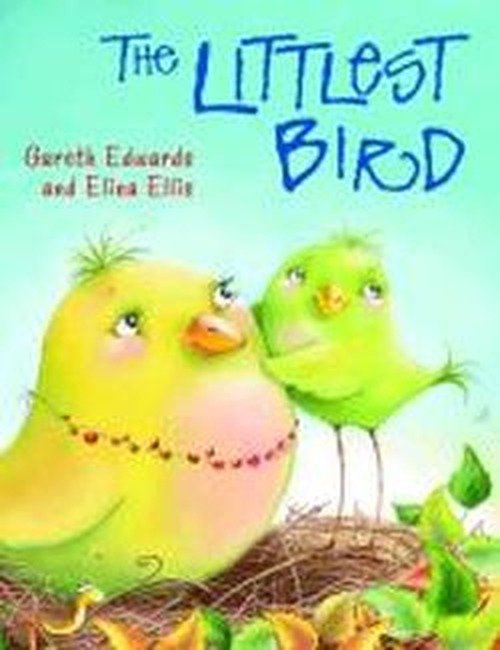 The Littlest Bird - Gareth Edwards - Boeken - Bonnier Books Ltd - 9781848123335 - 1 augustus 2013