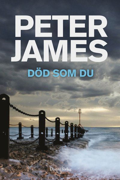 Cover for Peter James · Död som du (ePUB) (2012)