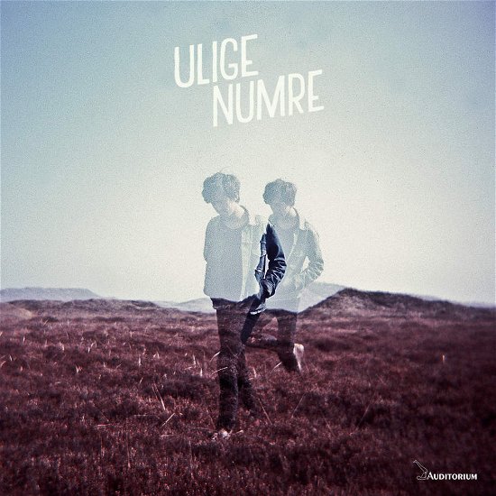 Cover for Ulige Numre (LP) [10th Anniversary edition] (2021)