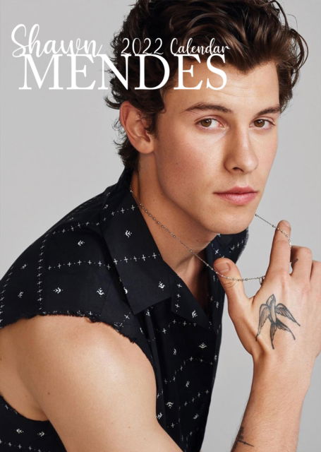 Shawn Mendes Unofficial 2022 Calendar - Shawn Mendes - Fanituote - VYDAVATELSTIVI - 3333054102336 - lauantai 15. toukokuuta 2021