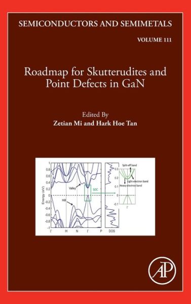 Cover for Chennupati Jagadish · Roadmap for Skutterudites and Point Defects in GaN (Hardcover Book) (2022)