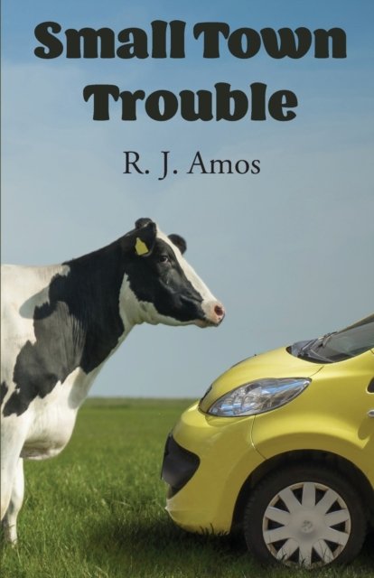 Cover for R J Amos · Small Town Trouble (Pocketbok) (2019)
