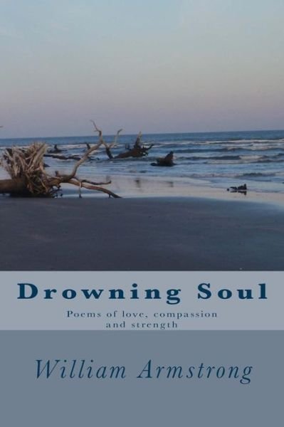 Cover for William Armstrong · Drowning Soul: Poems in 5-7-5 and 5-7-5-7-7 Beats (Pocketbok) (2014)