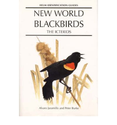 Cover for Alvaro Jaramillo · New World Blackbirds: The Icterids - Helm Identification Guides (Hardcover Book) (1999)