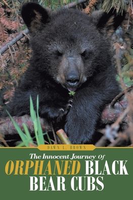 The Innocent Journey of Orphaned Black Bear Cubs - Dawn L Brown - Książki - Christian Faith Publishing, Inc - 9781098028336 - 18 lutego 2020