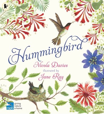 Cover for Nicola Davies · Hummingbird (Paperback Book) (2020)