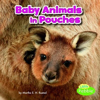 Baby Animals in Pouches - Martha E. H. Rustad - Books - Capstone - 9781515738336 - 2017