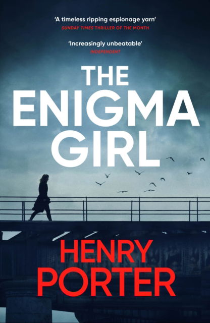 Cover for Henry Porter · The Enigma Girl (Paperback Book) (2024)