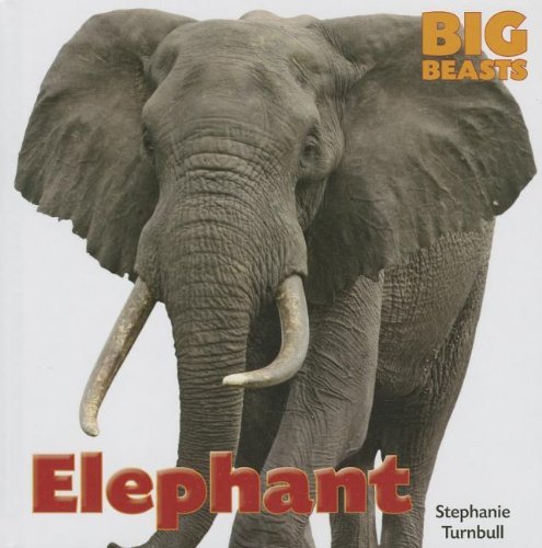 Elephant (Big Beasts) - Stephanie Turnbull - Bøger - Smart Apple Media - 9781599208336 - 2013