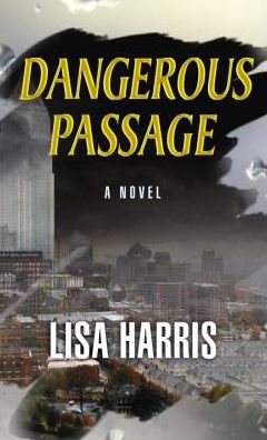 Cover for Lisa Harris · Dangerous Passage (Southern Crimes) (Hardcover Book) [Lrg edition] (2013)