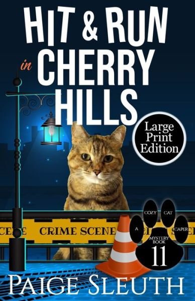 Paige Sleuth · Hit and Run in Cherry Hills (Paperback Book) (2016)