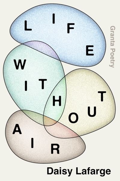Cover for Daisy Lafarge · Life Without Air (Paperback Book) (2020)