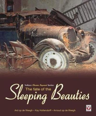 Cover for Ard Op De Weegh · The Fate of the Sleeping Beauties (Pocketbok) (2019)