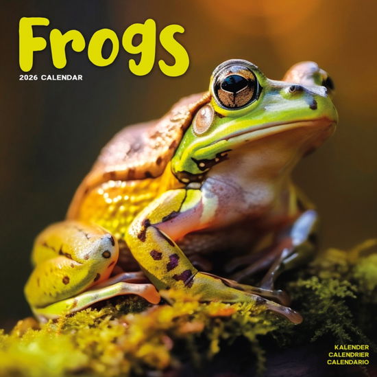 Cover for Frogs Calendar 2026  Square Animal Wall Calendar - 16 Month (Calendar) (2025)