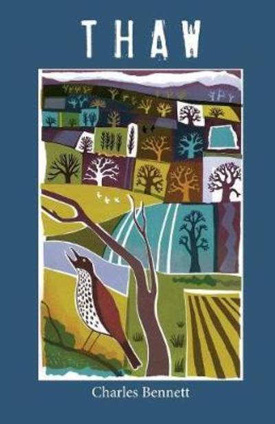 Thaw - Charles Bennett - Books - Fair Acre Press - 9781911048336 - September 13, 2018