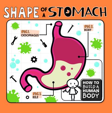 Cover for Kirsty Holmes · Shape of a Stomach (Hardcover Book) (2020)