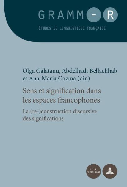Sens Et Signification Dans Les Espaces Francophones: La (Re-)Construction Discursive Des Significations - Gramm-R - - Books - Peter Lang AG, Internationaler Verlag de - 9782875743336 - March 28, 2016