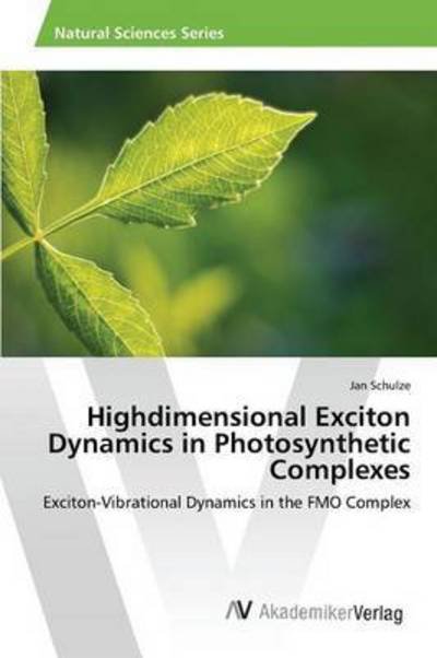 Cover for Schulze · Highdimensional Exciton Dynamic (Buch) (2015)