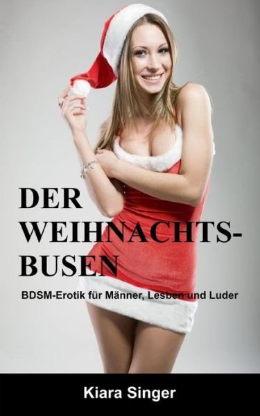 Cover for Kiara Singer · Der Weihnachtsbusen: BDSM-Erotik fur Manner, Lesben und Luder (Pocketbok) [German edition] (2014)