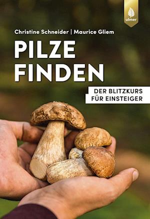 Cover for Christine Schneider · Pilze finden (Book) (2024)