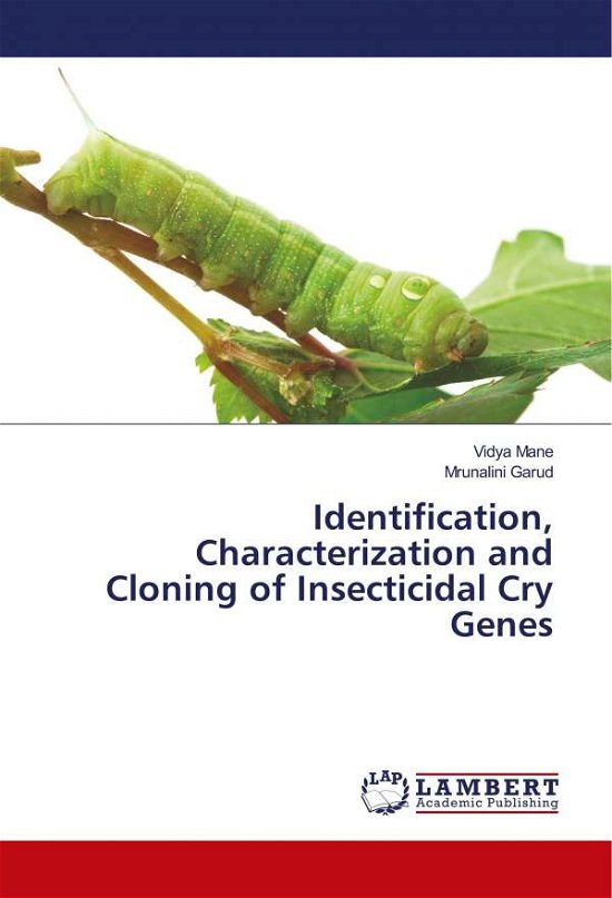 Cover for Mane · Identification, Characterization a (Bok) (2018)