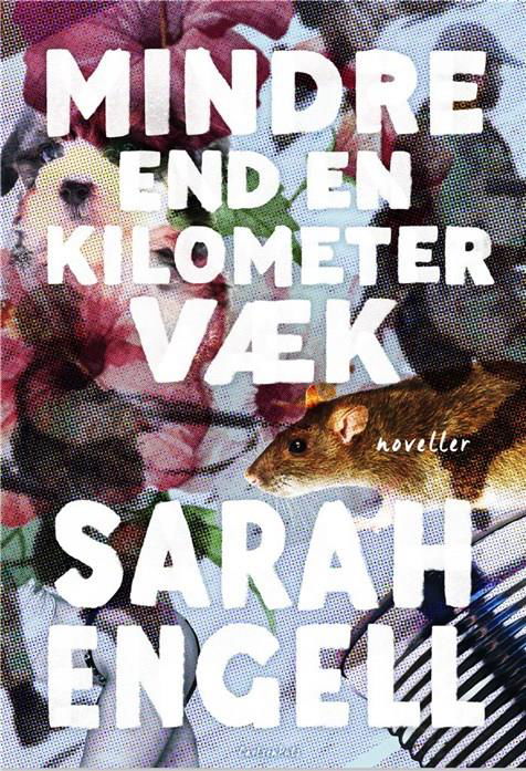 Cover for Sarah Engell · Mindre end en kilometer væk (Taschenbuch) [1. Ausgabe] (2019)