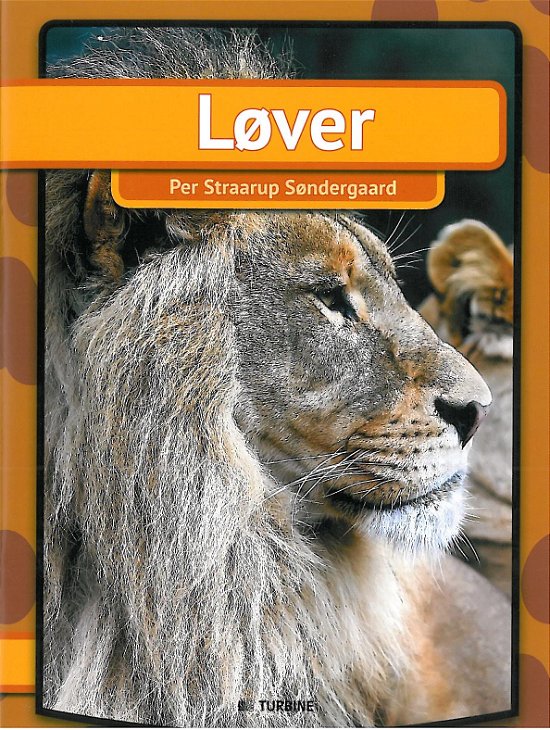 Cover for Per Straarup Søndergaard · Min første bog: Løver (Paperback Book) [1st edition] [Paperback] (2014)