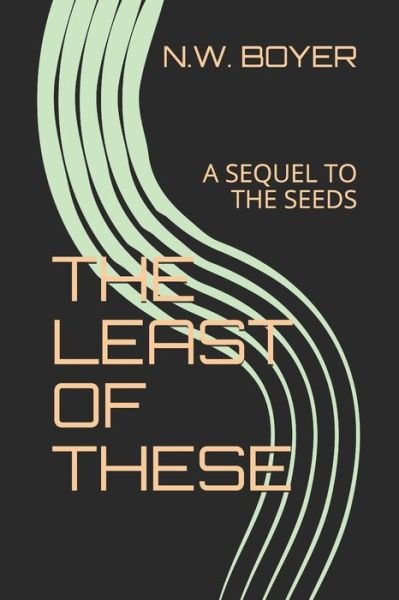 Cover for N W Boyer · The Least of These (Taschenbuch) (2021)