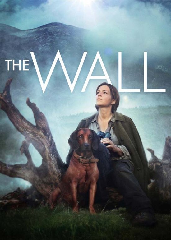 Cover for Wall (DVD) (2013)