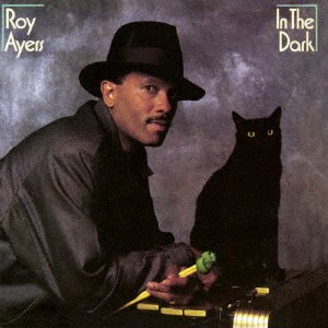 In the Dark - Roy Ayers - Music - FUNKY TOWN GROOVES - 4526180421337 - July 19, 2017