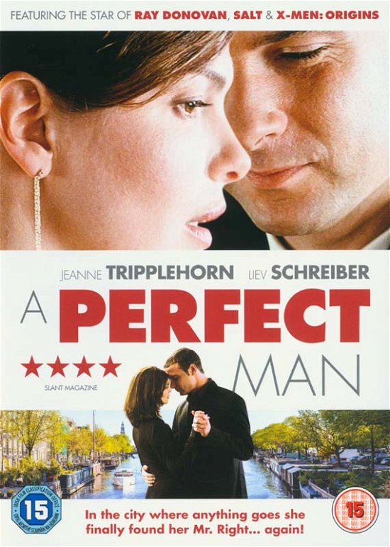 Cover for A Perfect Man (DVD) (2015)