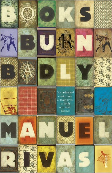 Cover for Manuel Rivas · Books Burn Badly (Paperback Book) (2011)