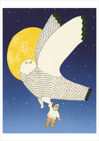 Ningiukulu Teevee: The Owl and the Boy Notecard - - Books - Pomegranate Europe Ltd - 9780764996337 - 2025