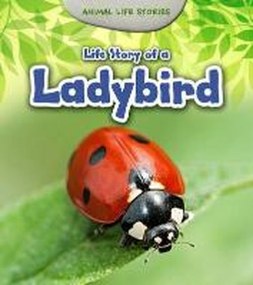 Cover for Charlotte Guillain · Life Story of a Ladybird (Hardcover Book) (2014)