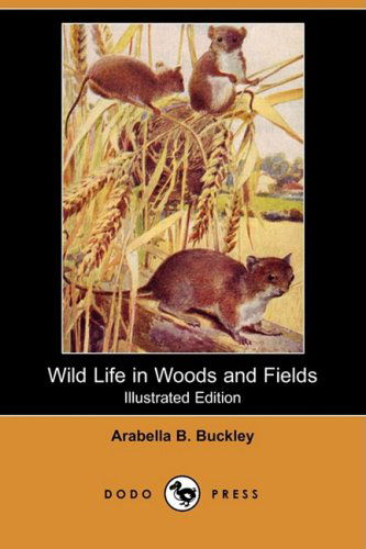 Cover for Arabella B. Buckley · Wild Life in Woods and Fields (Illustrated Edition) (Dodo Press) (Paperback Book) [Illustrated, Ill edition] (2008)